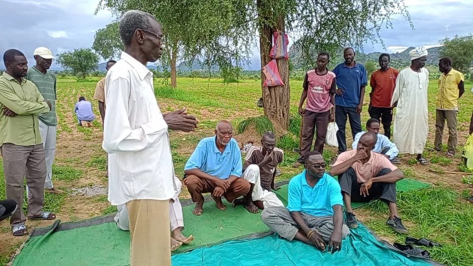 Supporting Sudan's food security and farming